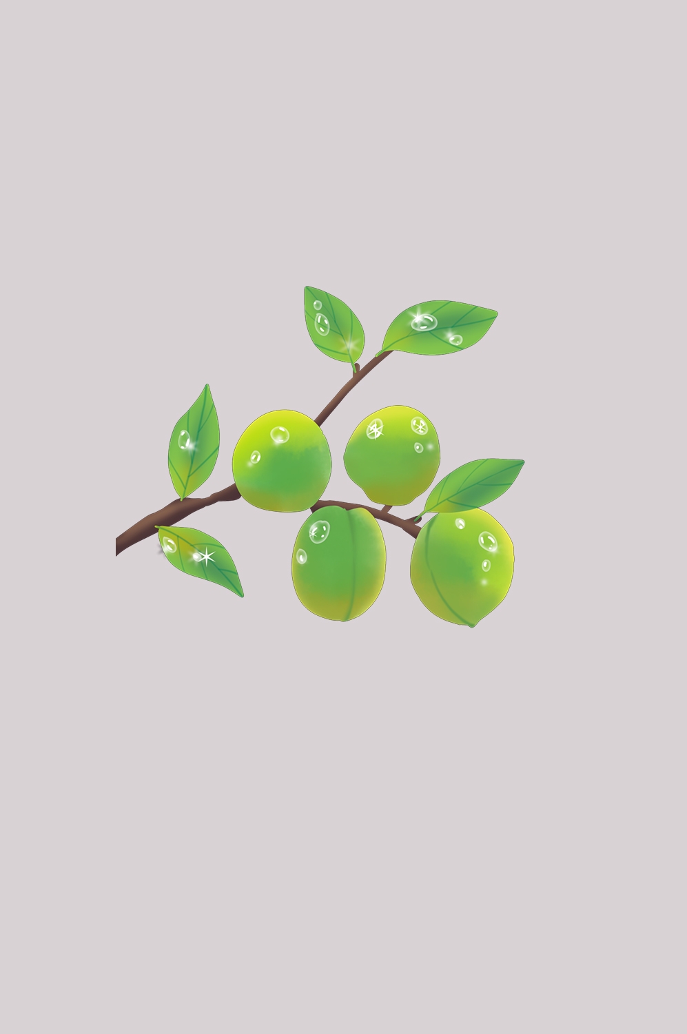 卡通手绘水果青梅图案素材图片装饰插画免抠92