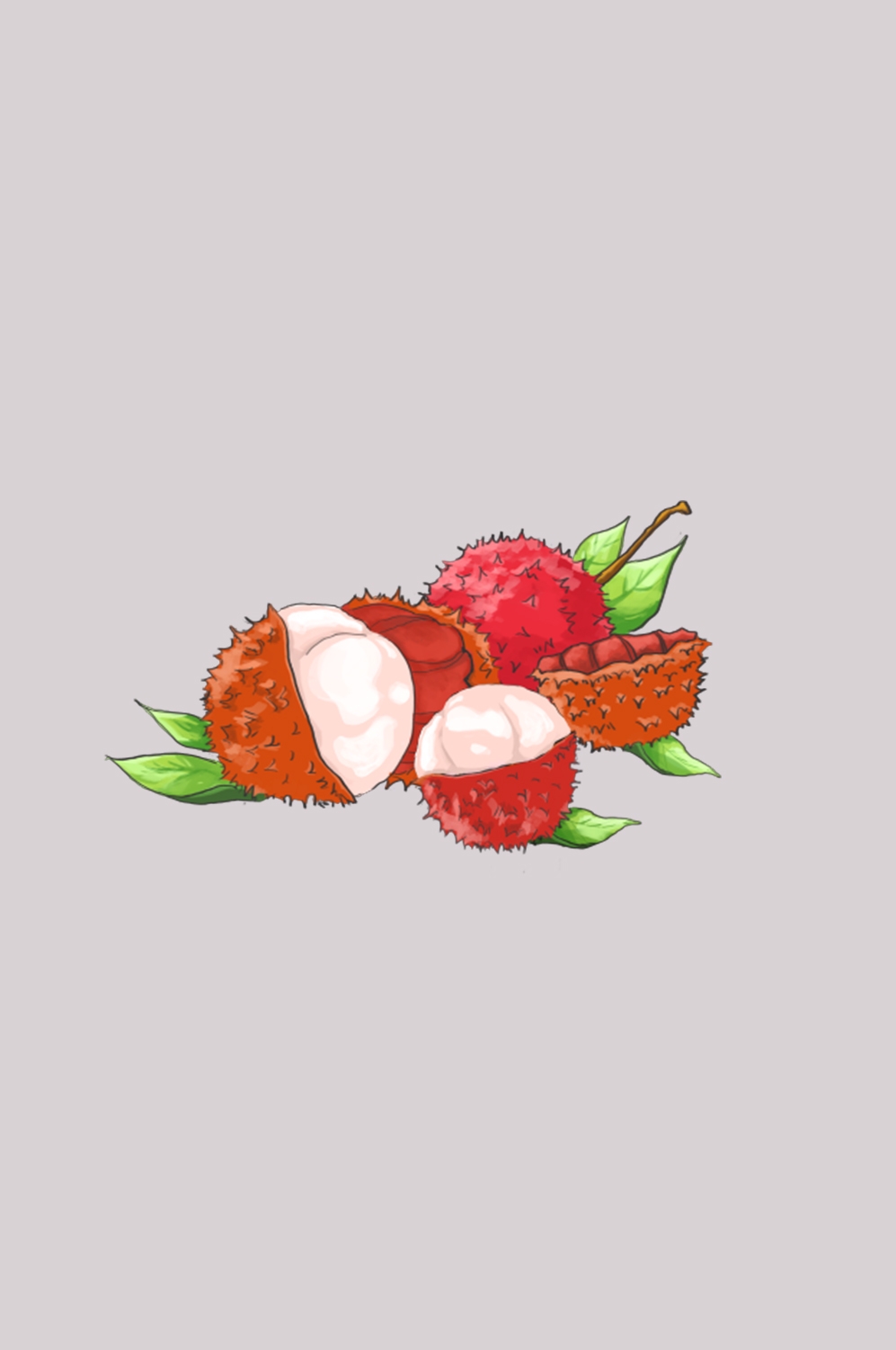 手绘荔枝图片素材装饰元素插画 png透明背景 (37)