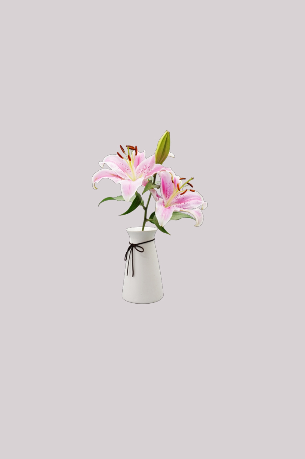 花瓶花艺装饰元素免抠素材1