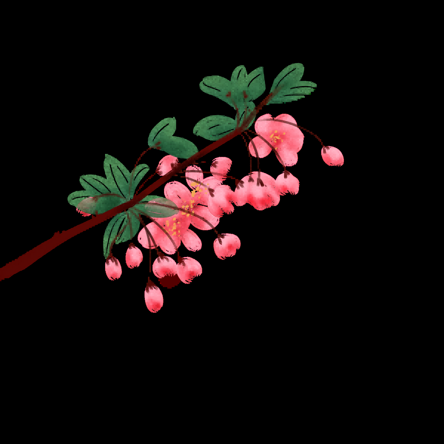 海棠花免抠元素装饰图案插画16