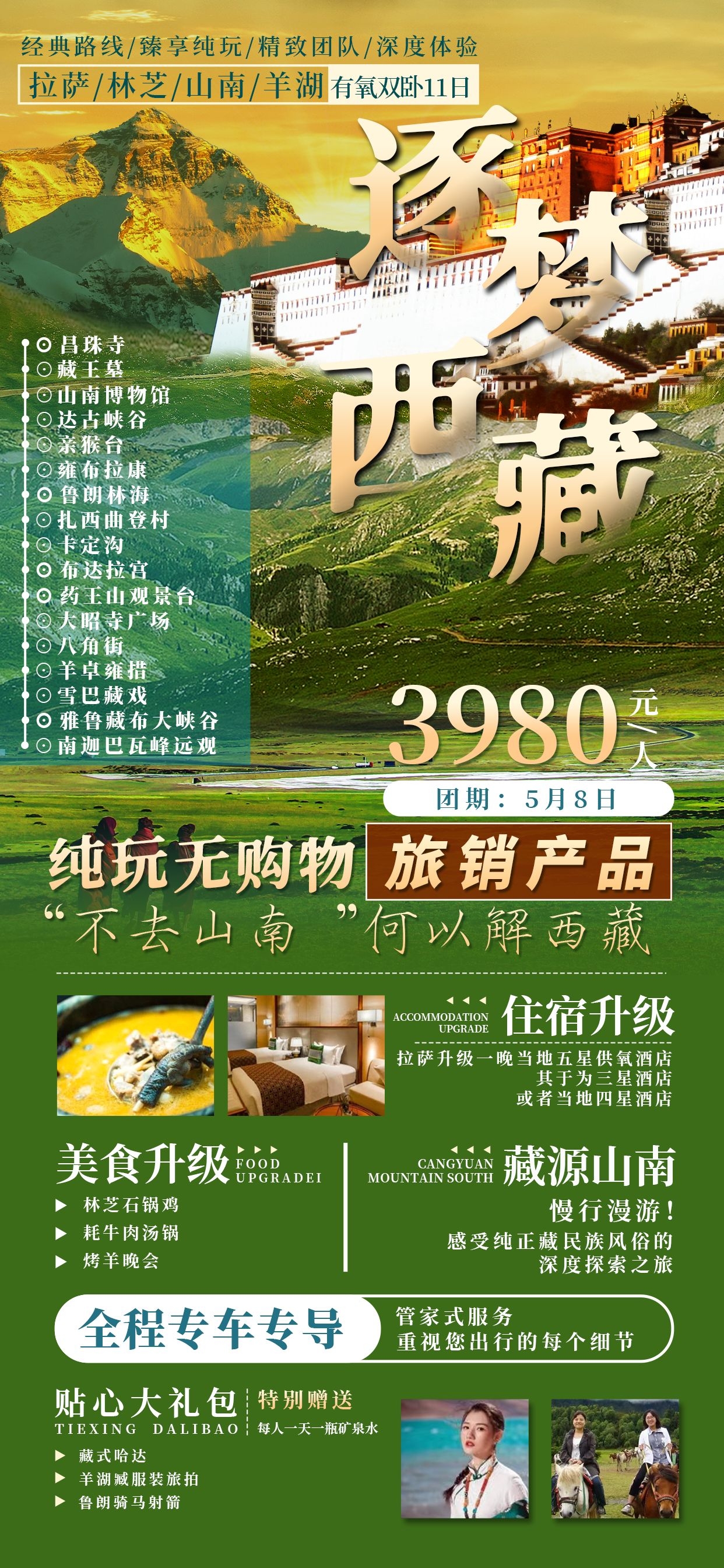 西藏拉萨布达拉宫川藏藏南灵芝日喀则海报易拉宝素材77