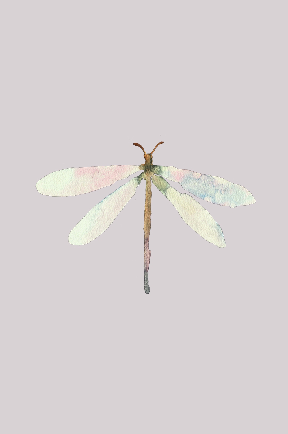 卡通手绘蜻蜓昆虫水墨画插画七彩蜻蜓图案免抠56