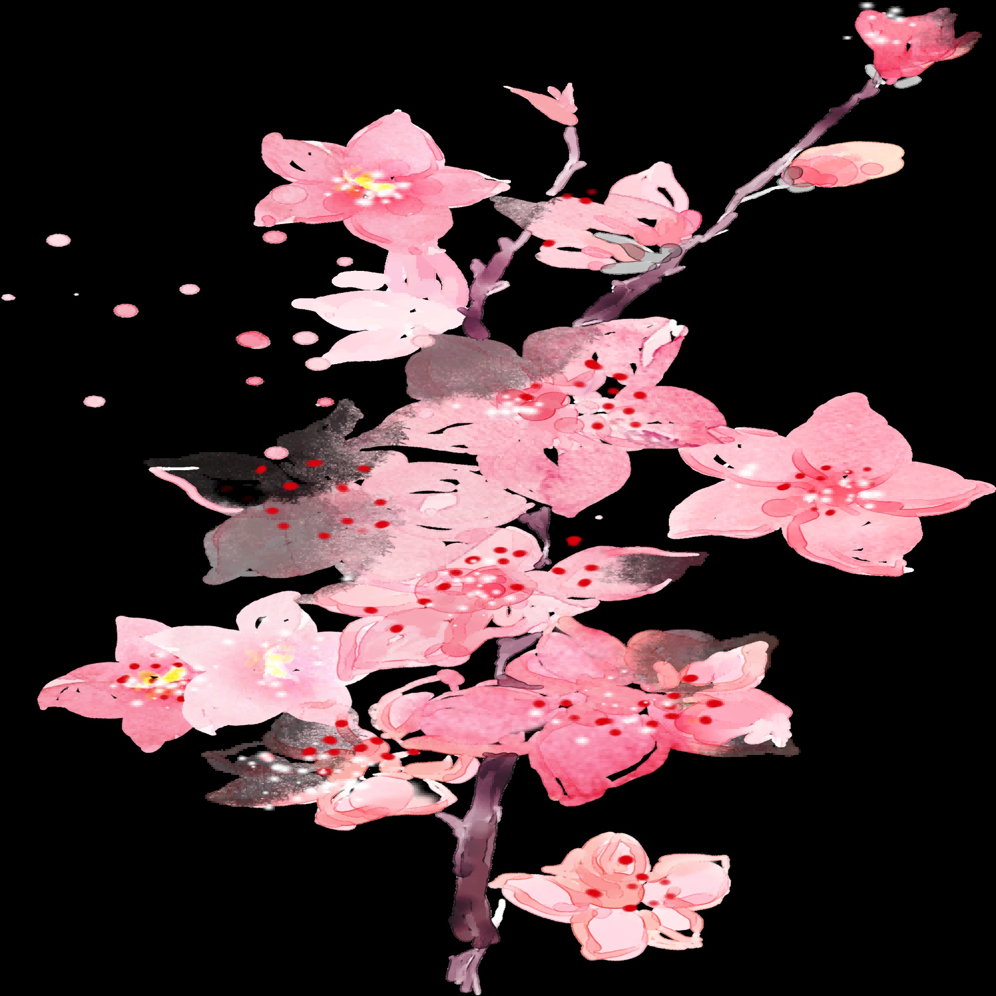 桃花素材图中国风海报设计桃树花枝透明背景46