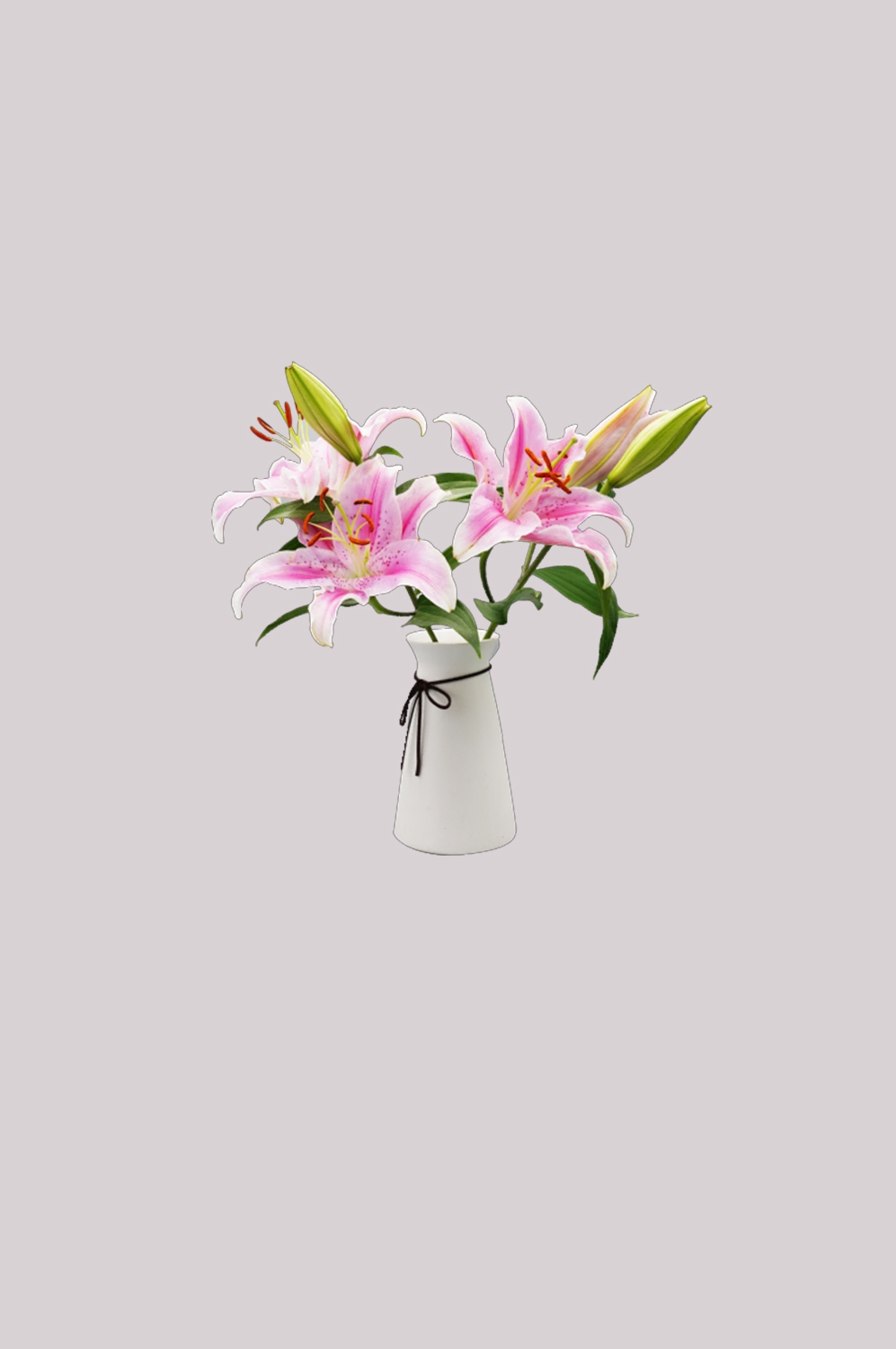 花瓶花艺装饰元素免抠素材4