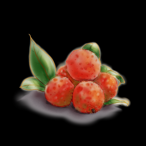 手绘荔枝图片素材装饰元素插画 png透明背景 (32)