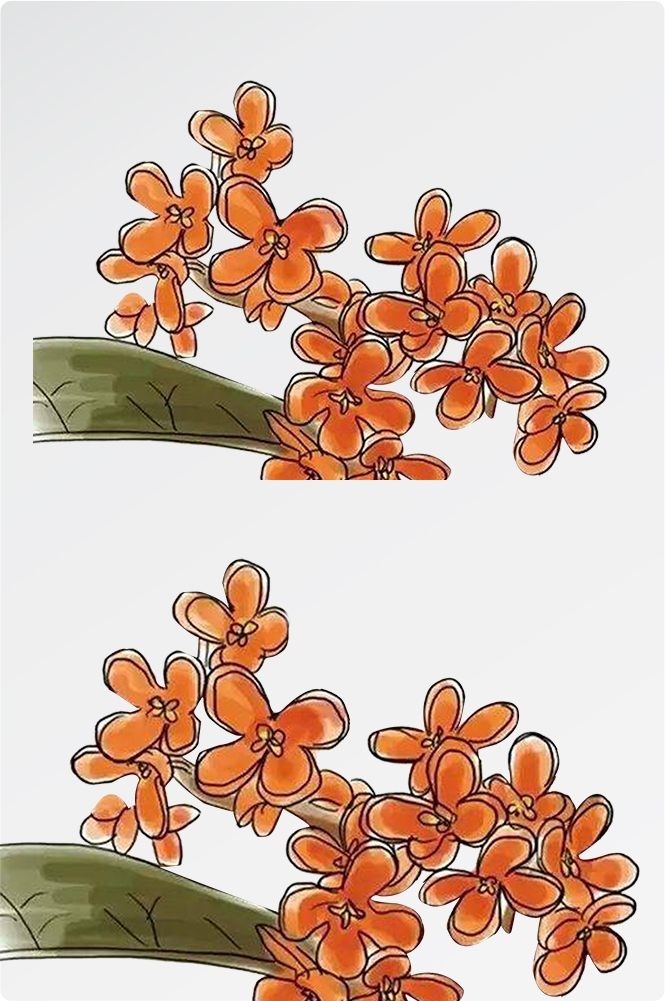 卡通手绘桂花花枝图案素材元素35