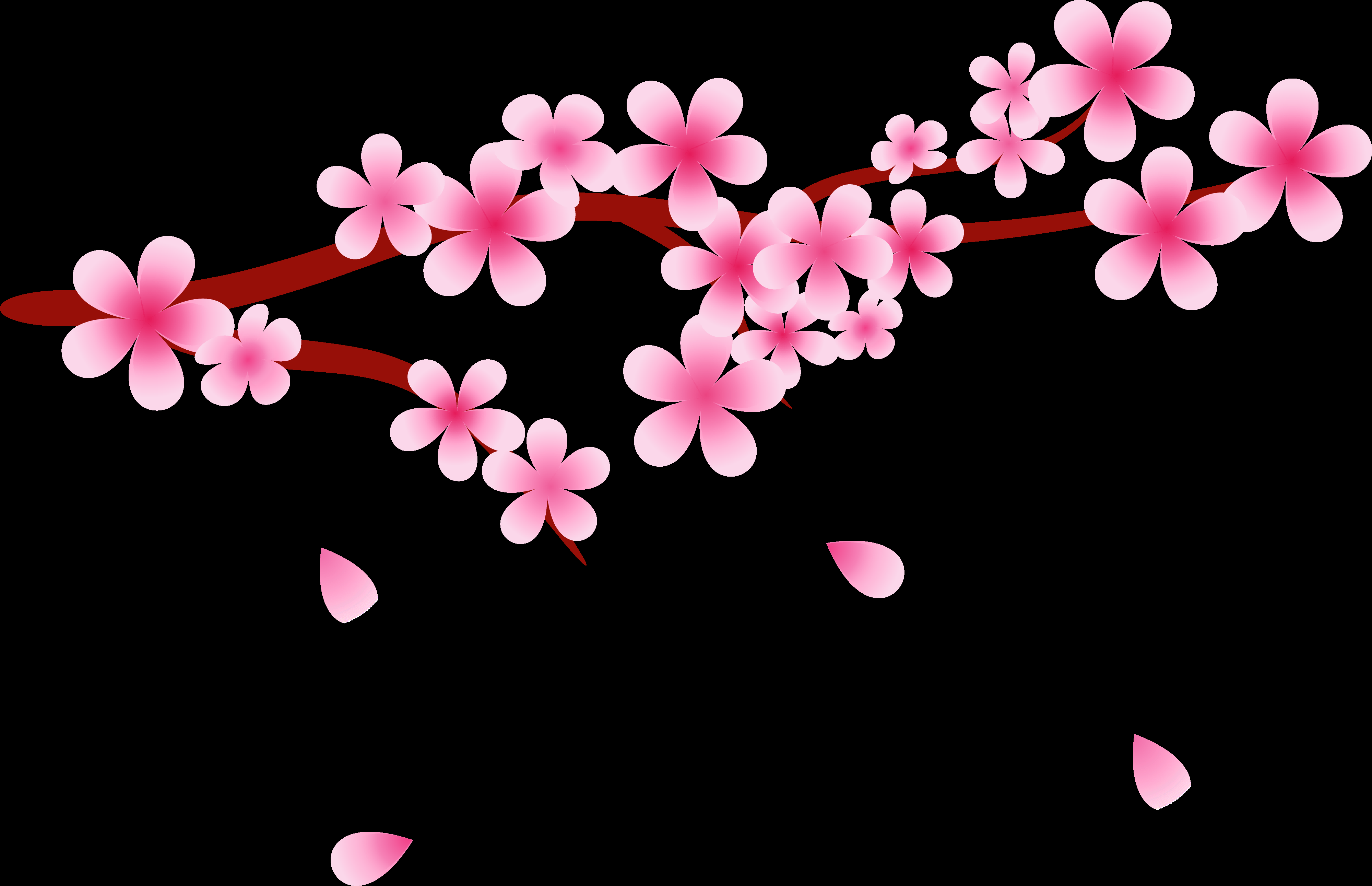 唯美樱花花树花枝樱花飘落图片装饰插图免抠10