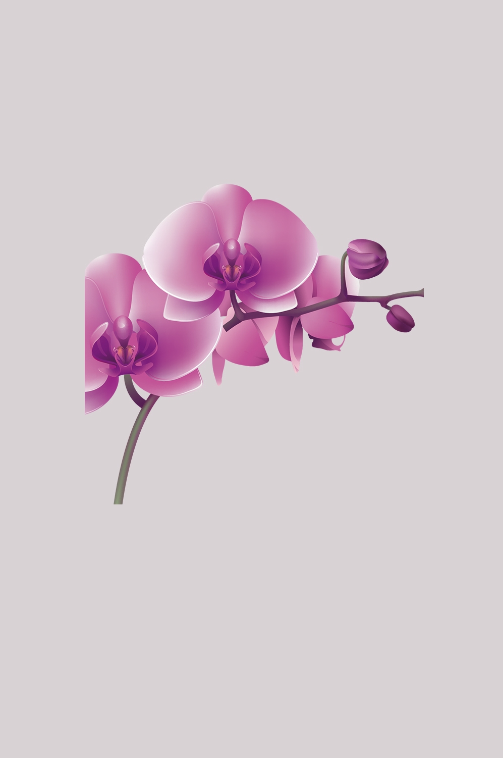 手绘淡雅玉兰花枝花朵装饰元素插图免抠素材1
