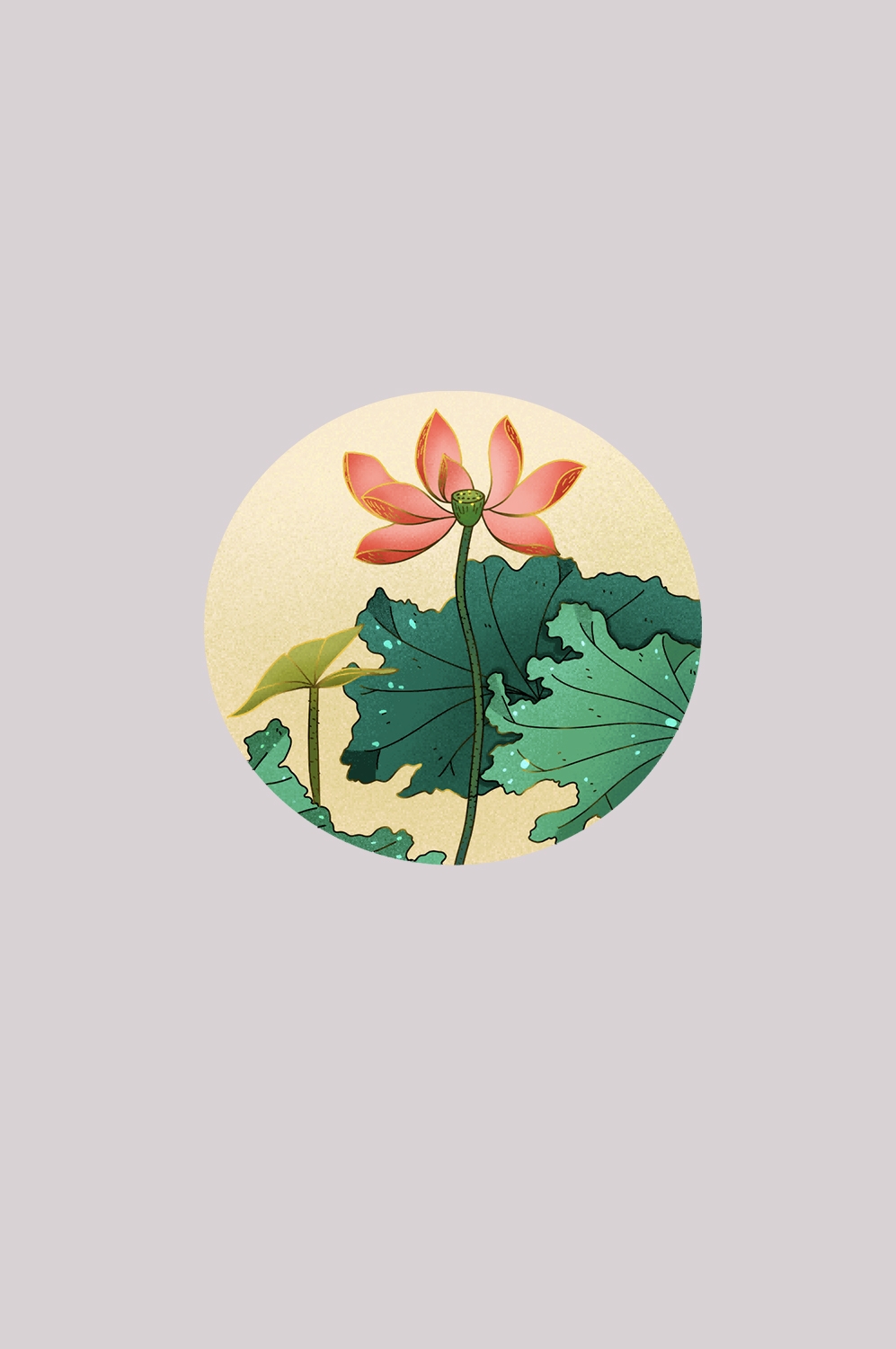 荷叶荷花素材插画装饰元素透明背景免抠素材50