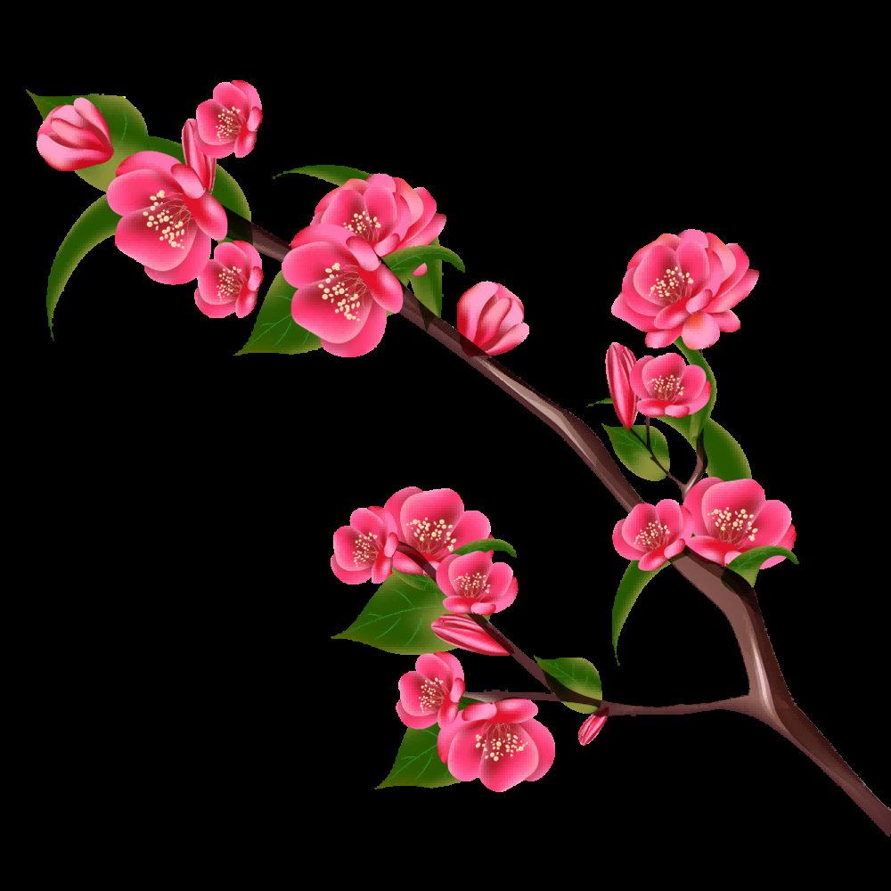 海棠花免抠元素装饰图案插画34