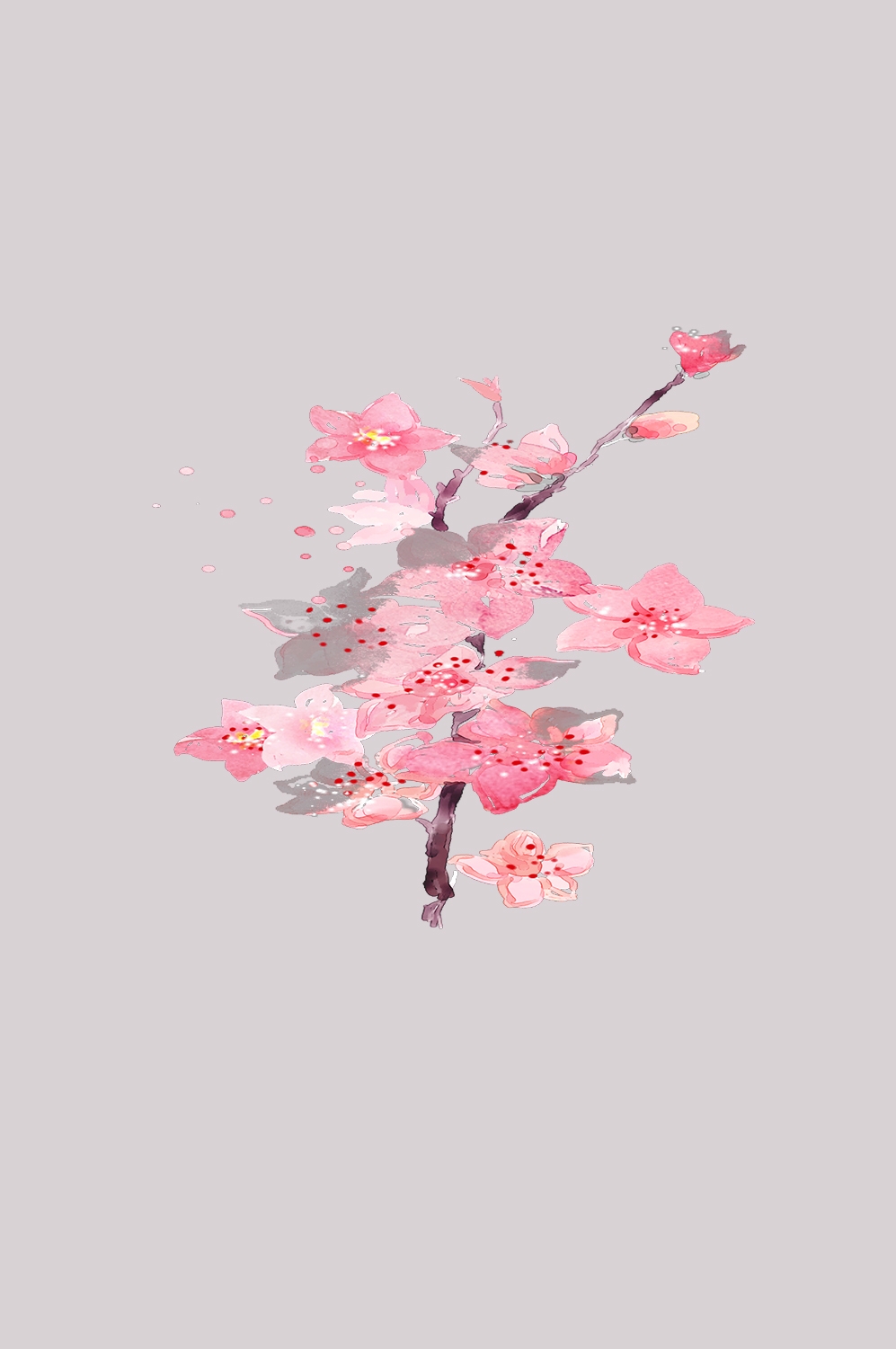 桃花素材图中国风海报设计桃树花枝透明背景46