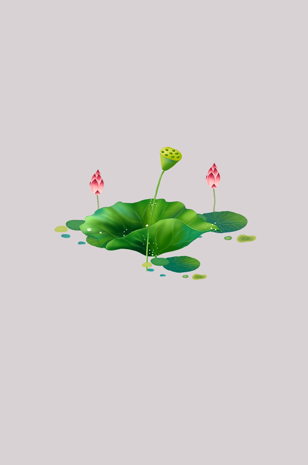 荷叶荷花素材插画装饰元素透明背景免抠素材18