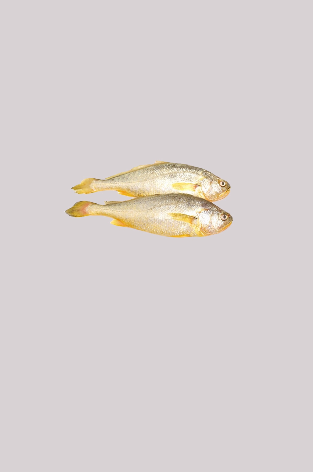 海鲜食材带鱼黄鱼素材图片元素插图免抠41
