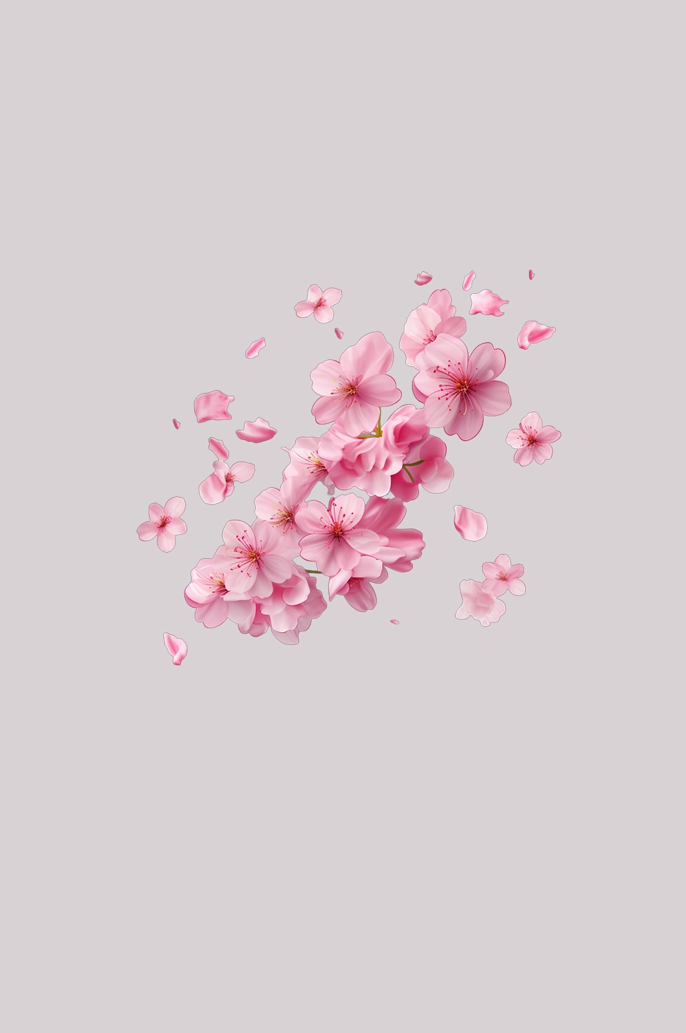 桃花素材图中国风海报设计桃树花枝透明背景88
