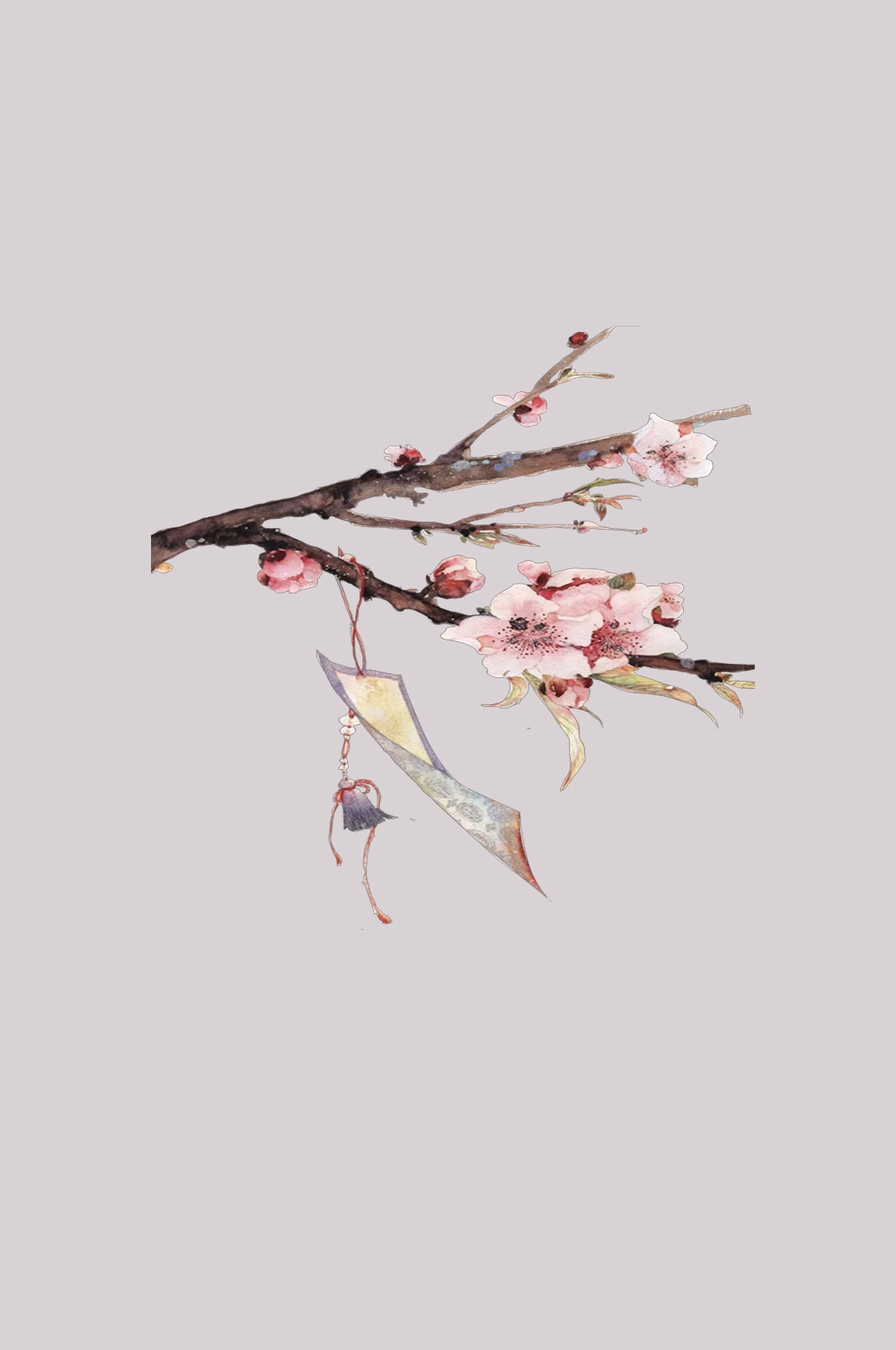 桃花素材图中国风海报设计桃树花枝透明背景14