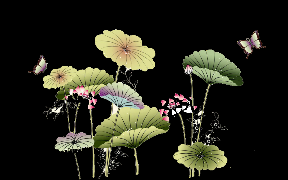 荷叶荷花素材插画装饰元素透明背景免抠素材51