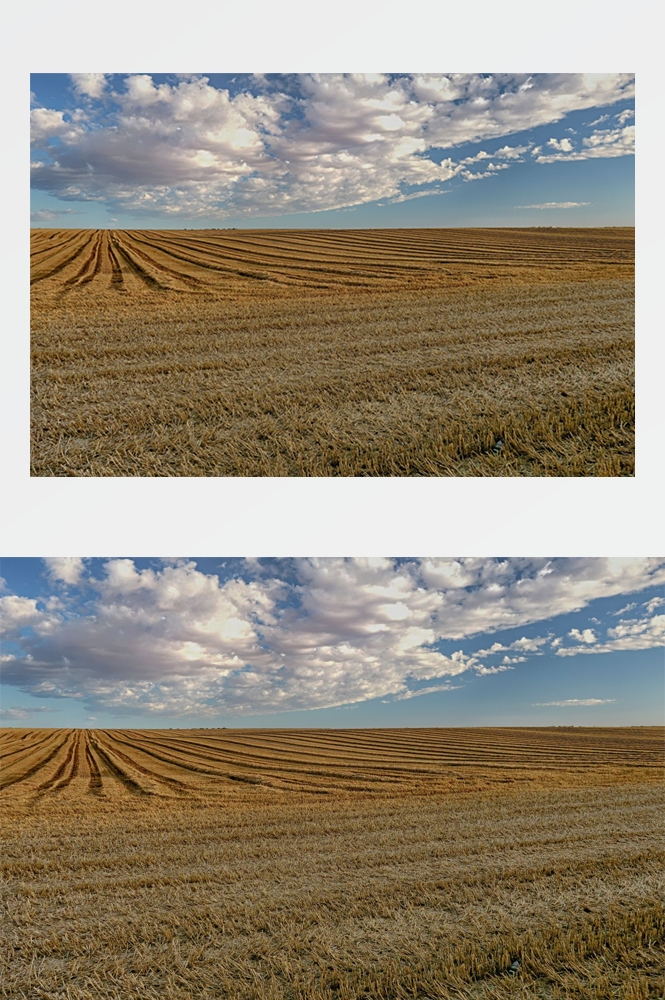 乡村田野风光高清图片 (264)