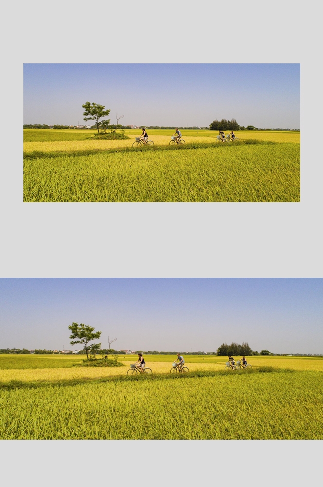 乡村田野风光高清图片 (311)