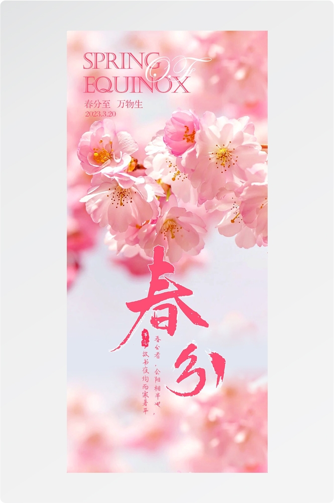 樱花节节日旅游浪漫出游露营春天活动宣传海报