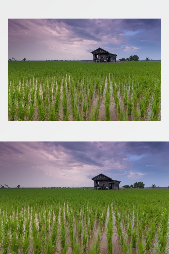 乡村田野风光高清图片 (304)