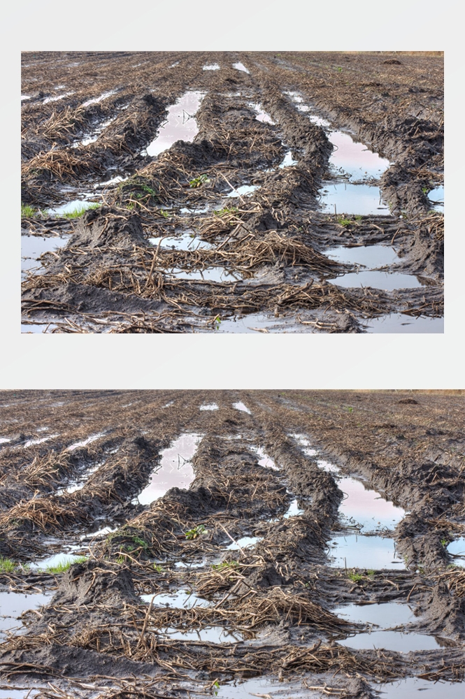 乡村田野风光高清图片 (28)