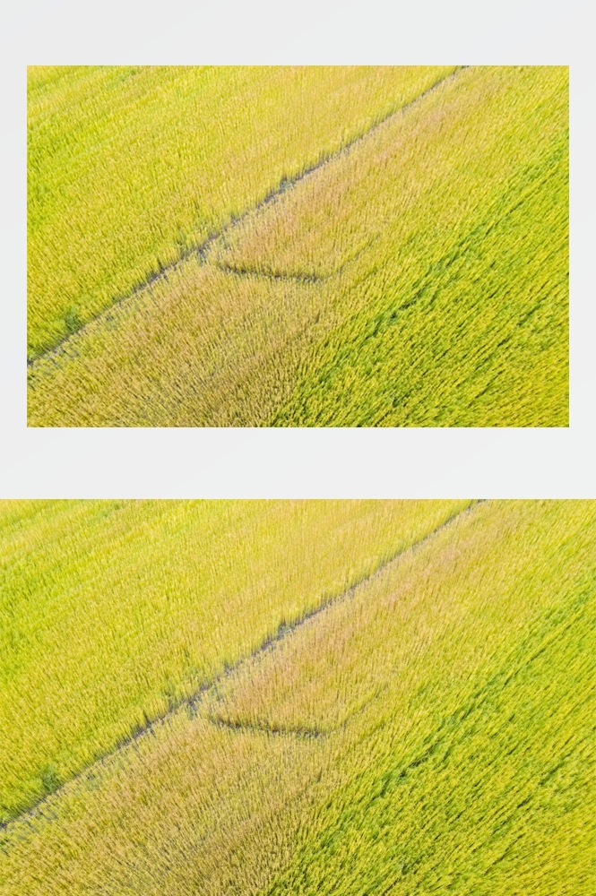 乡村田野风光高清图片 (75)