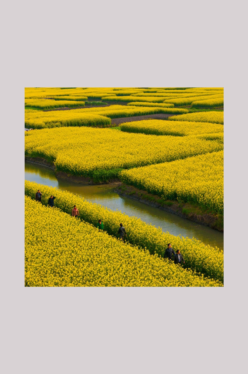 乡村田野风光高清图片 (83)