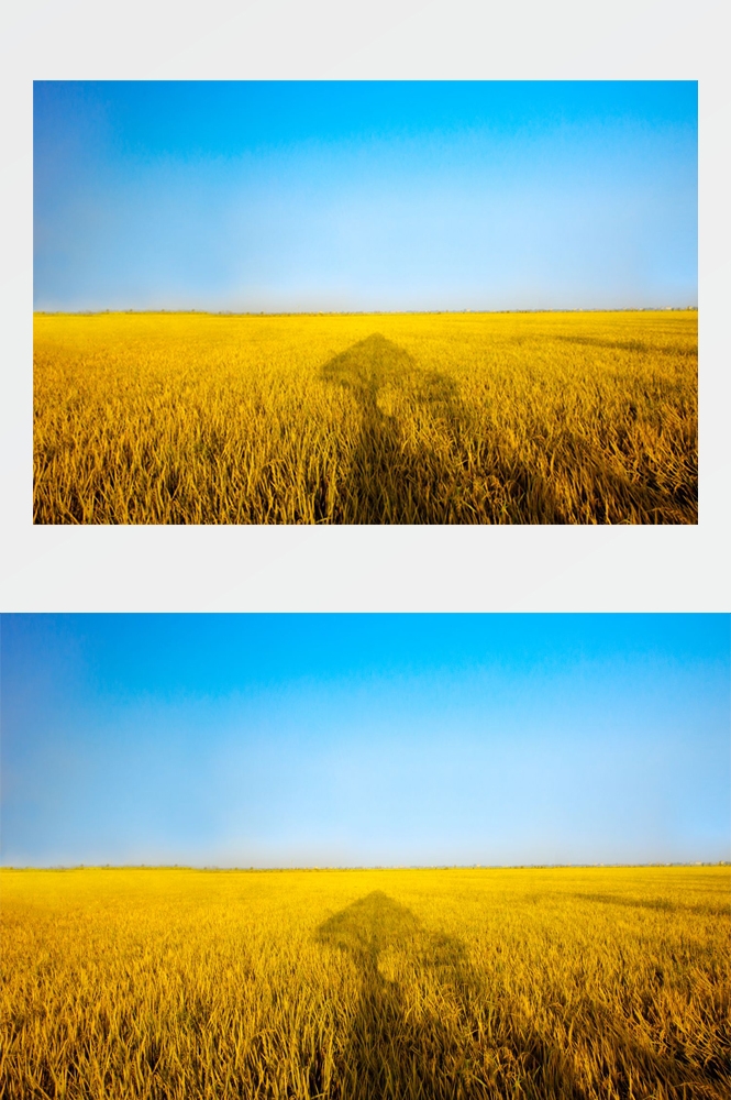 乡村田野风光高清图片 (26)