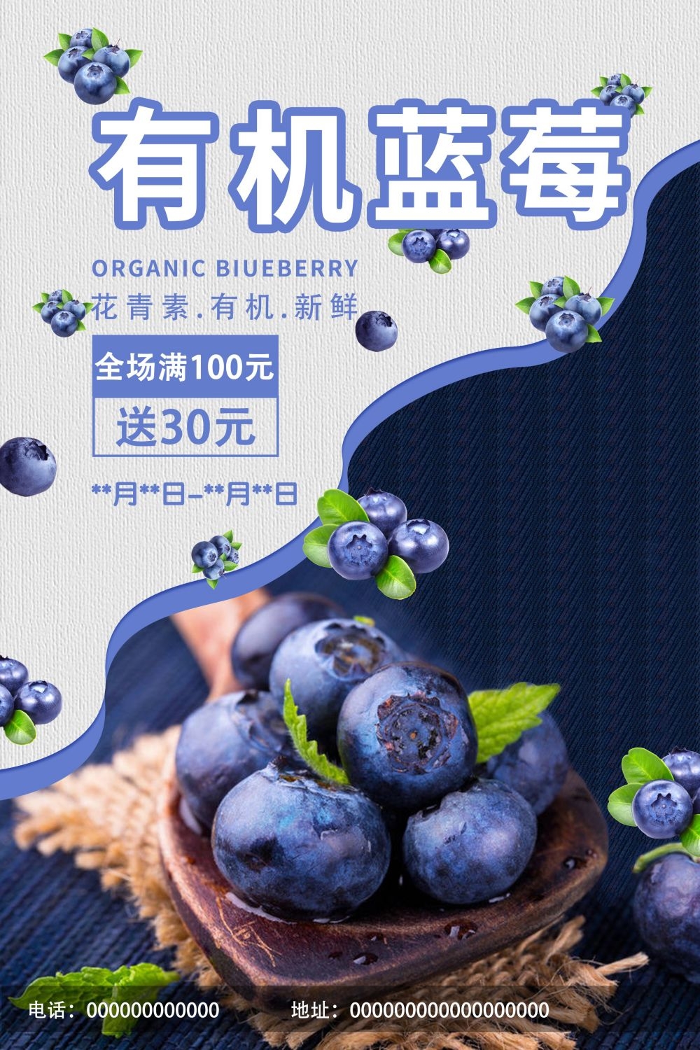 蓝莓促销宣传海报展板