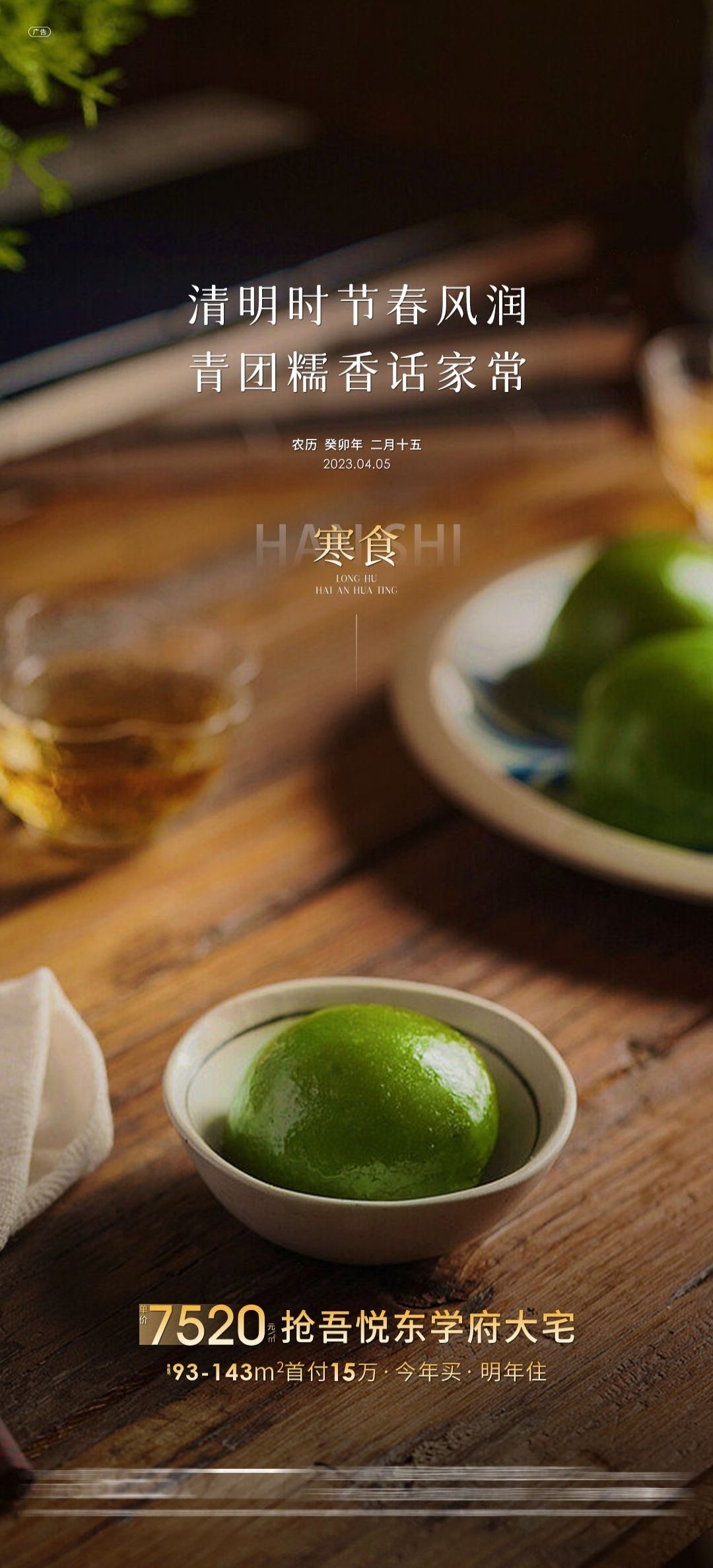 寒食节青团冷食踏青郊游追思传统文化节日宣传海报插画 (16)