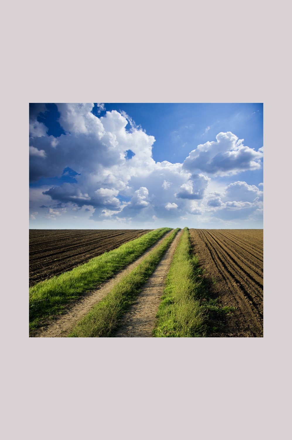 乡村田野风光高清图片 (55)