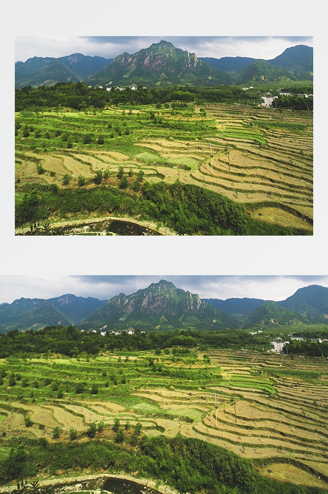 高清自然风景摄影图片稻田稻穗水稻田园风光设计素材