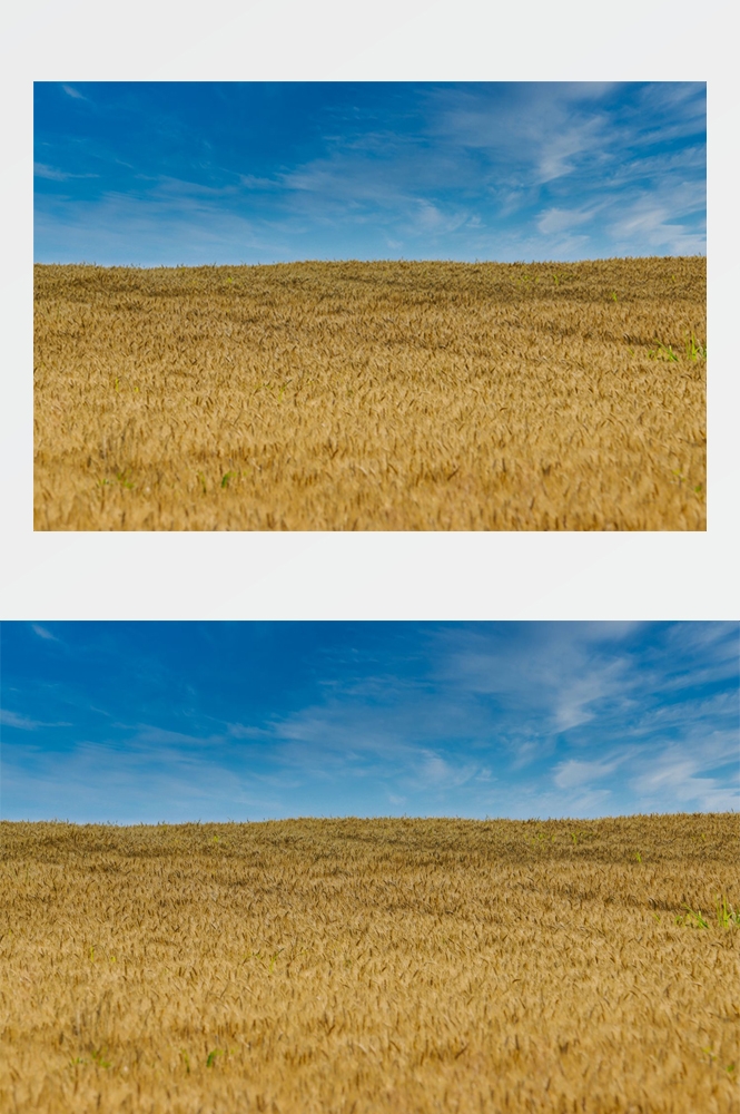 乡村田野风光高清图片 (259)