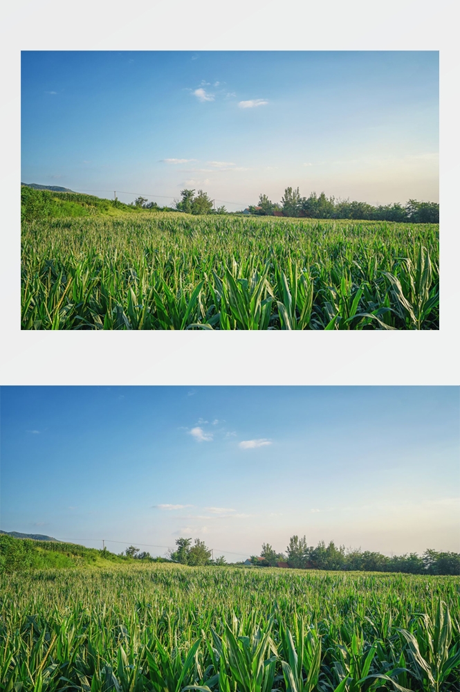 乡村田野风光高清图片 (87)