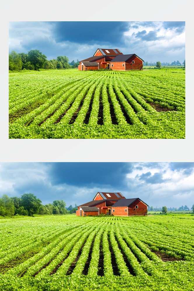 乡村田野风光高清图片 (14)