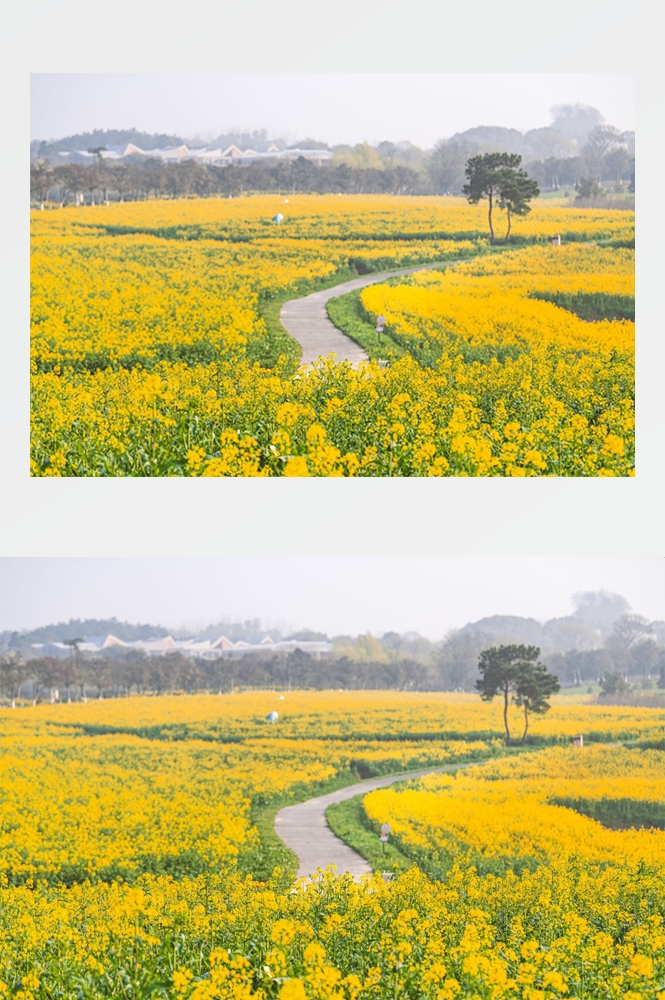 乡村田野风光高清图片 (25)