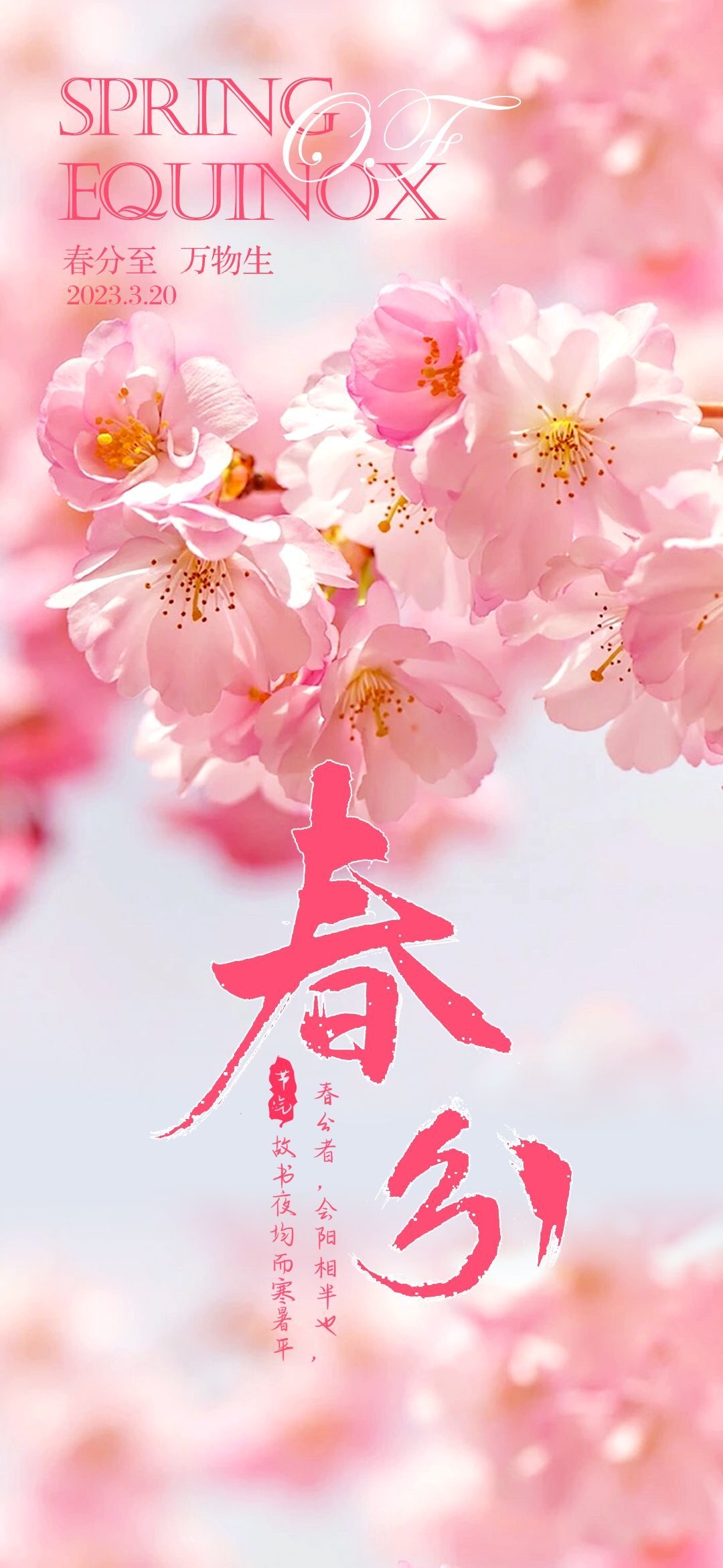 樱花节节日旅游浪漫出游露营春天活动宣传海报 (7)