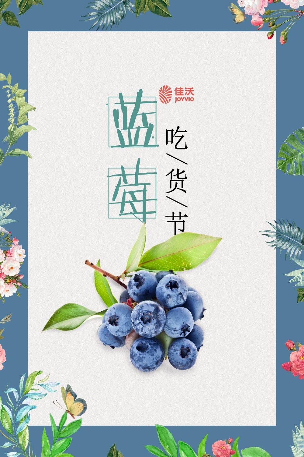 蓝莓促销宣传海报展板