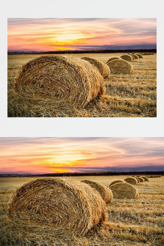 乡村田野风光高清图片 (252)