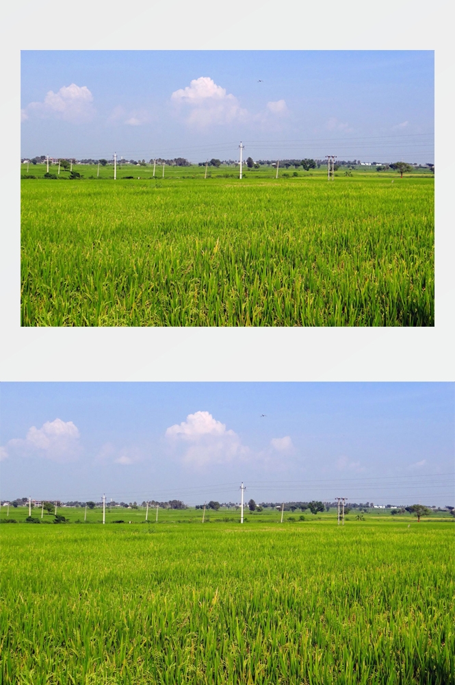 乡村田野风光高清图片