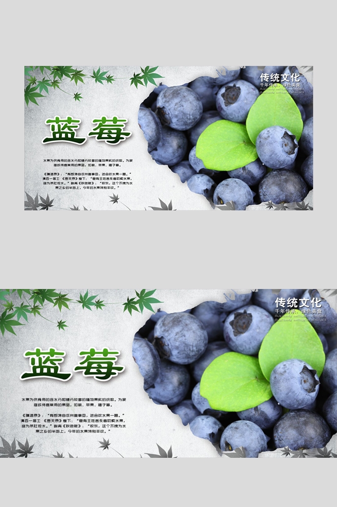 蓝莓促销宣传海报展板