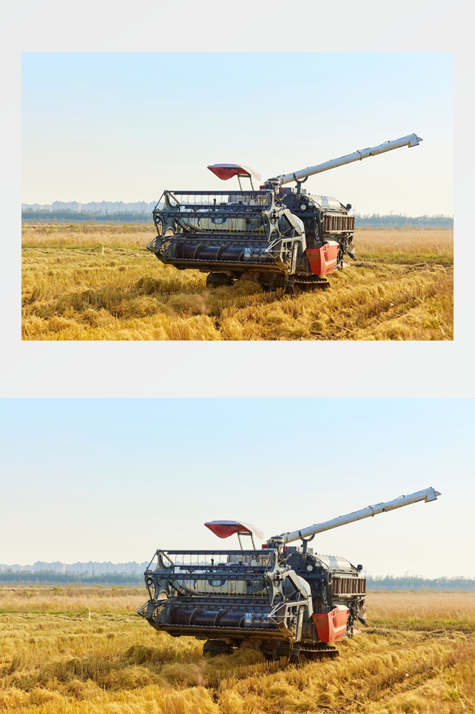 乡村田野风光高清图片 (13)