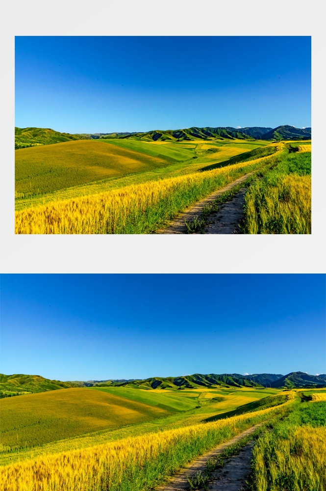 乡村田野风光高清图片 (61)