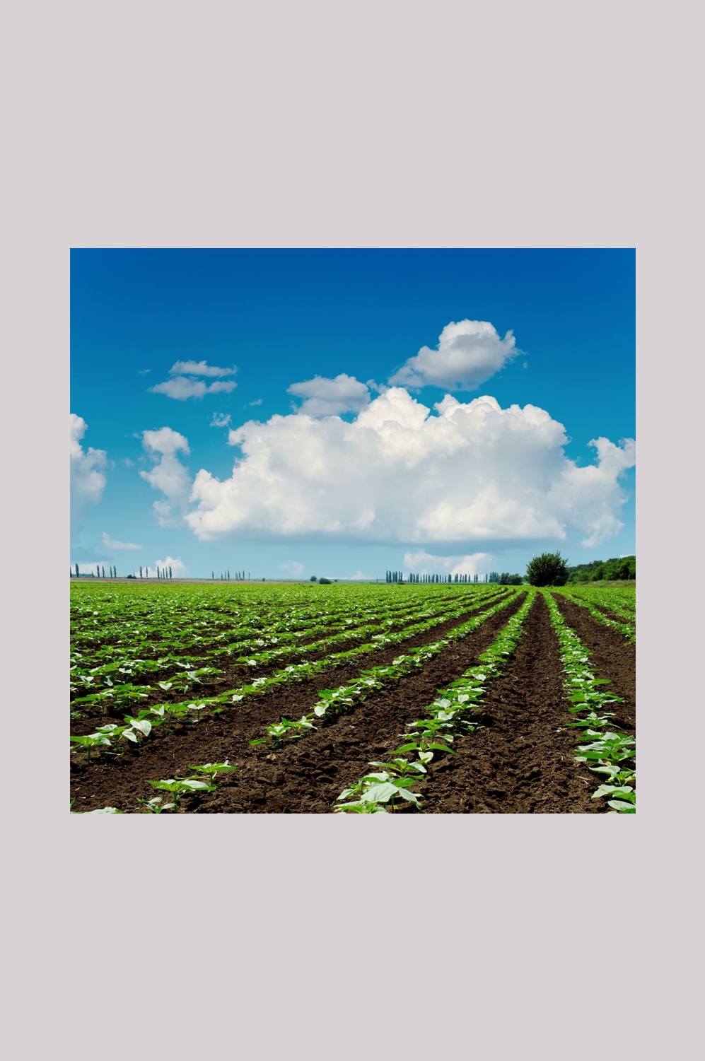 乡村田野风光高清图片 (76)