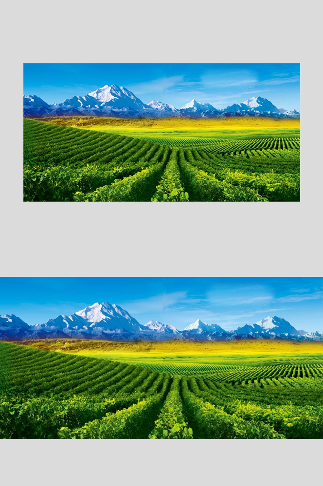 乡村田野风光高清图片 (262)