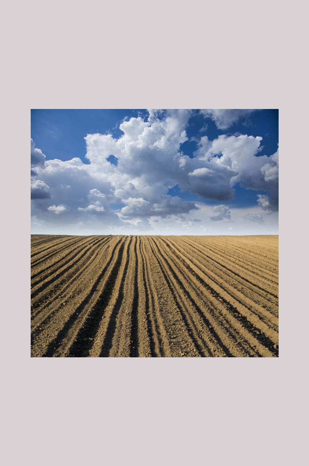 乡村田野风光高清图片 (44)