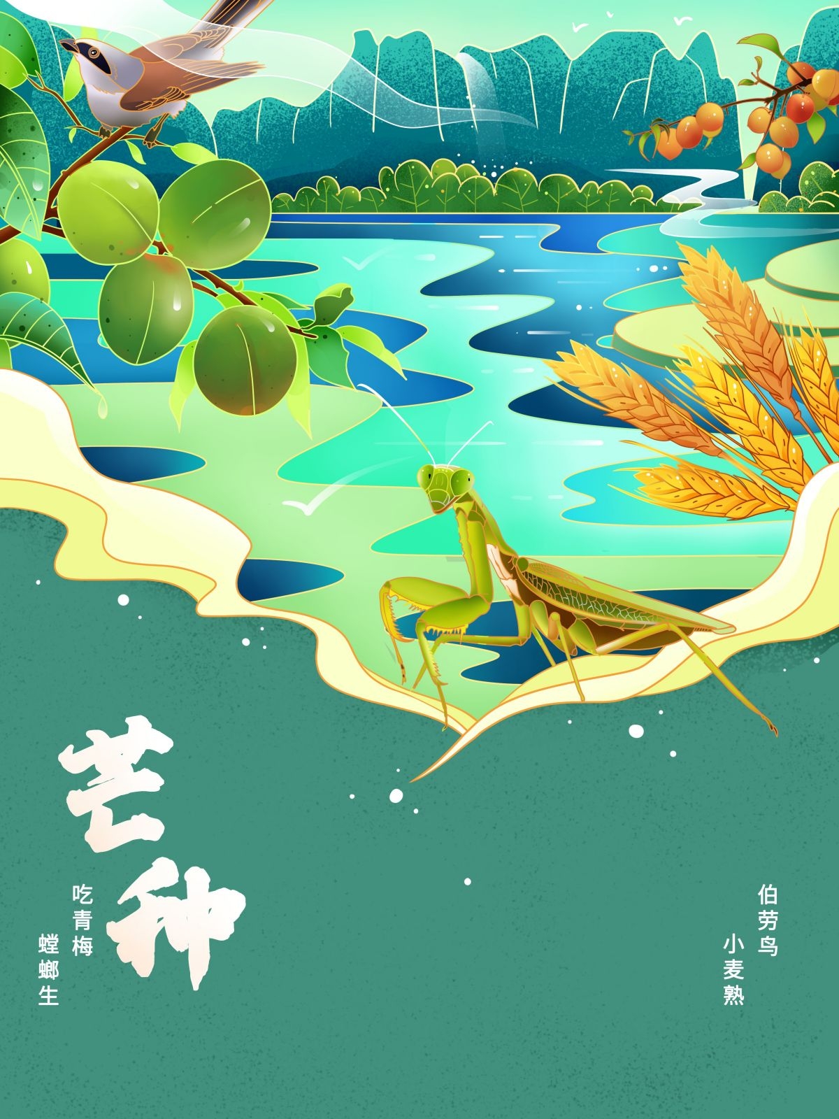 国潮风整套24二十四节气传统节日宣传手绘插画模板 (1)
