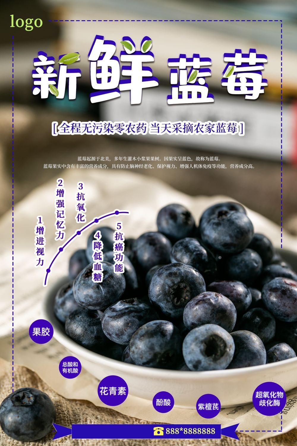 蓝莓促销宣传海报展板