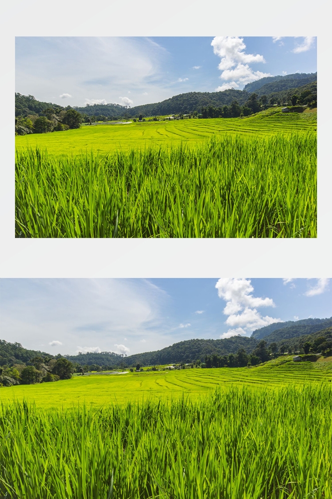 乡村田野风光高清图片