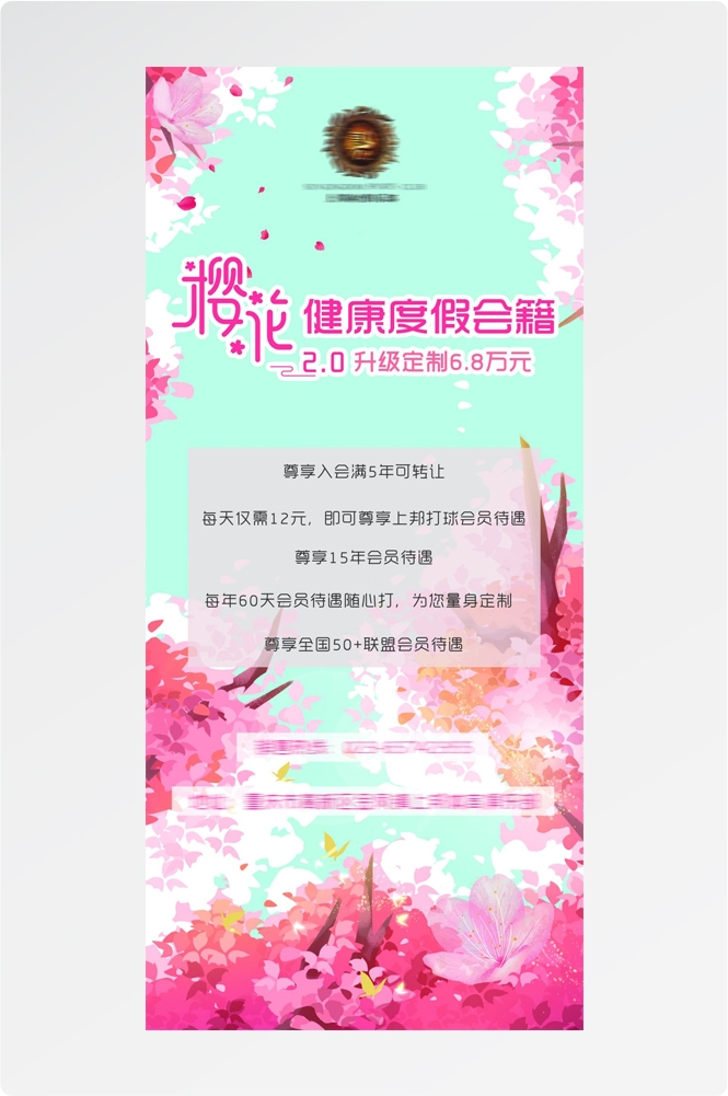 樱花节节日旅游浪漫出游露营春天活动宣传海报